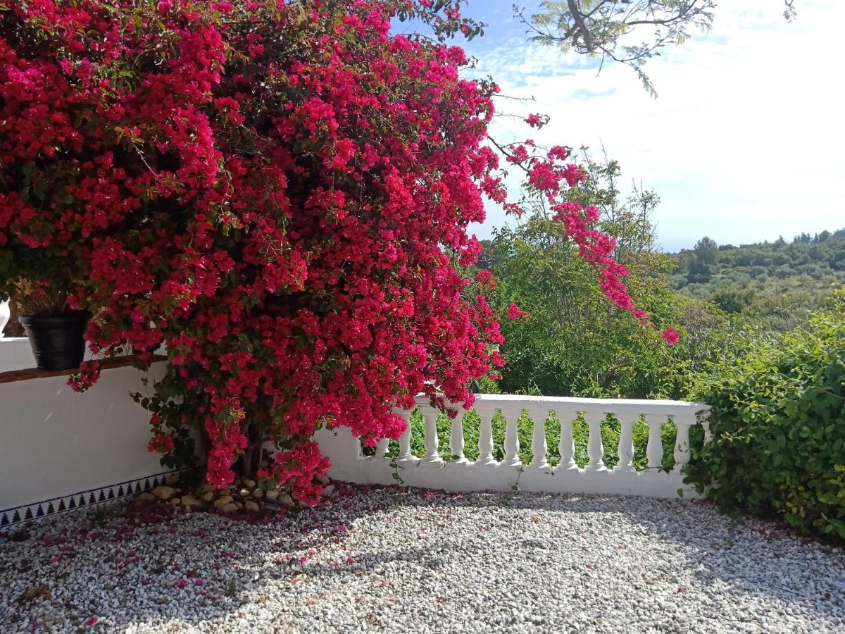 Finca Rayo Del Sol Alhaurin el Grande Exterior photo